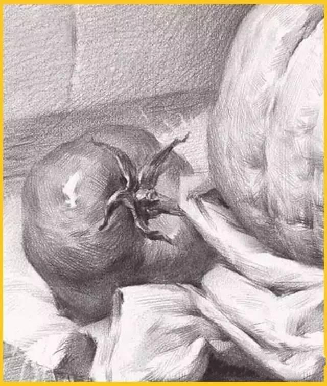 真的画错了――你的素描西红柿太圆啦！