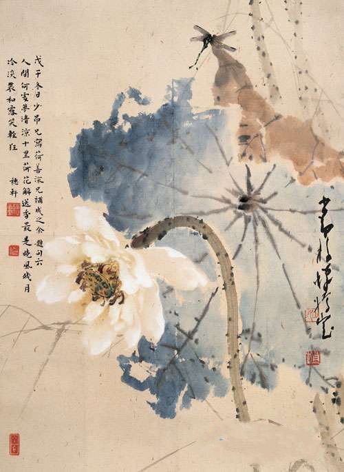 zhaoshaoang_huaniao40s