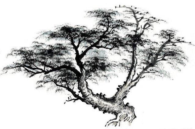 手把手教学画水墨画,中国画中松树竹子的画法简介!