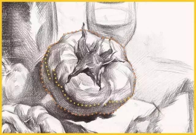 真的画错了――你的素描西红柿太圆啦!