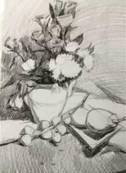 静物素描的写生方法与步骤详解