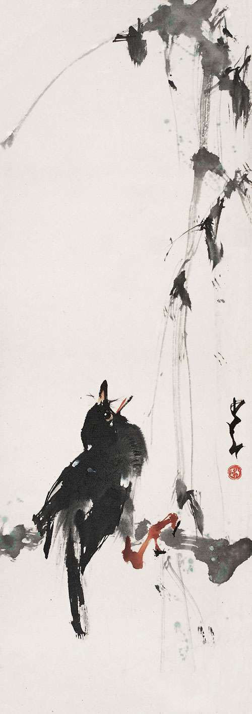 zhaoshaoang_huaniao42s