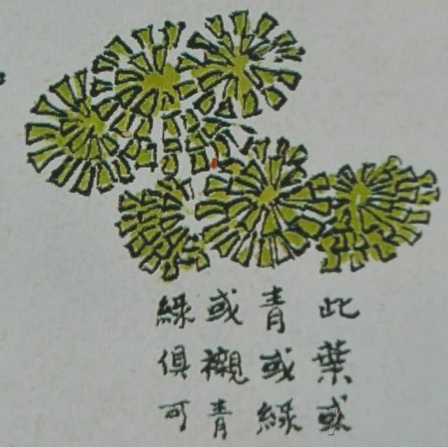 <芥子园>――夹叶法2