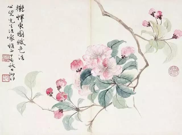 大师笔下芙蓉花，似美人初醉