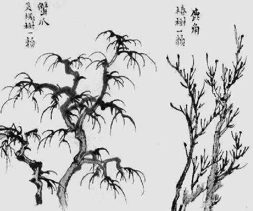 手把手教学画水墨画,中国画中松树竹子的画法简介!