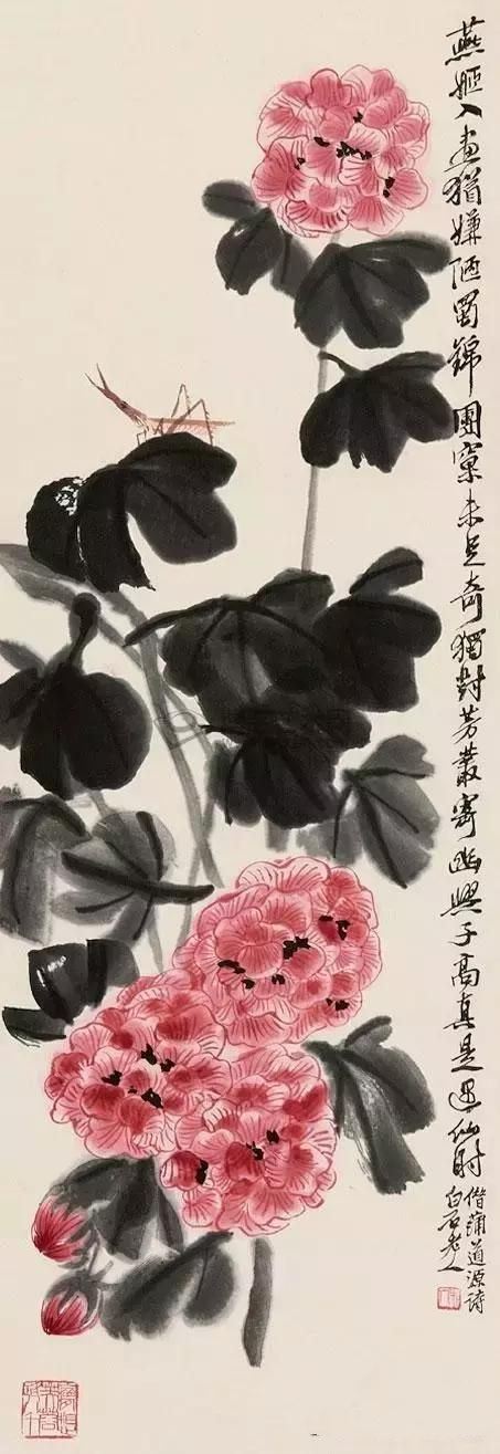 大师笔下芙蓉花，似美人初醉