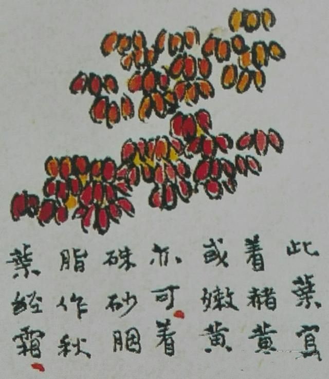 <芥子园>――夹叶法2