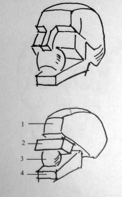 人体素描画法教程