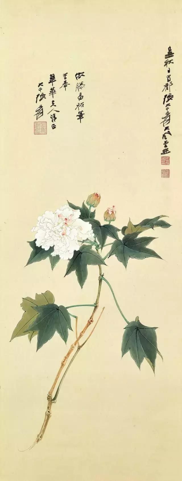 大师笔下芙蓉花，似美人初醉