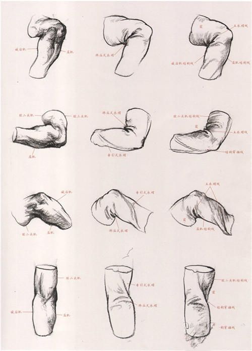 想画好速写,你必须要牢记的几点