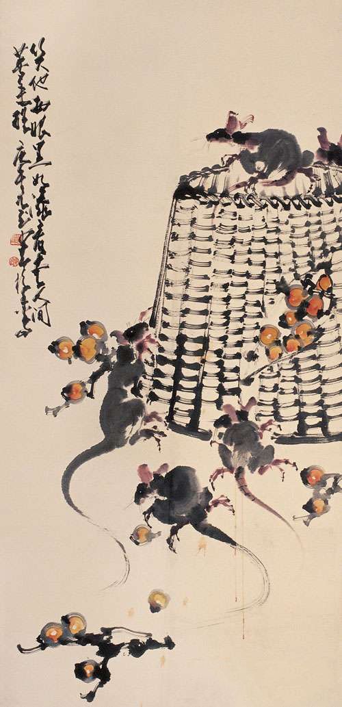 zhaoshaoang_huaniao55s