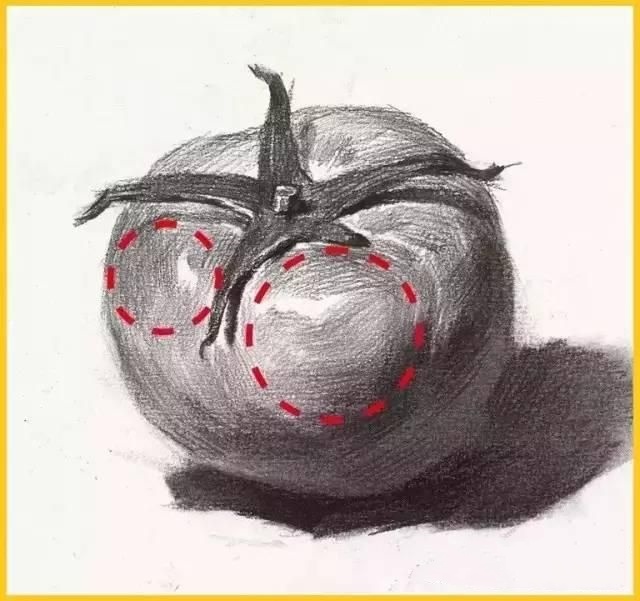 真的画错了――你的素描西红柿太圆啦!
