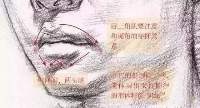 「素描教程」女性面部结构表达技巧