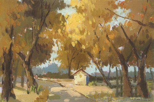 色彩风景树林类――阳光下的树林