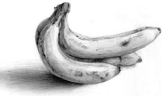 素描解刨学角度教你画一个苹果一把香蕉