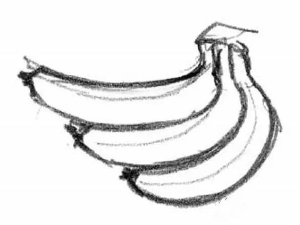 素描解刨学角度教你画一个苹果一把香蕉
