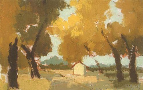 色彩风景树林类――阳光下的树林