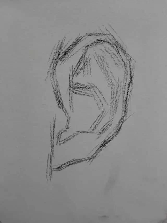 素描教程：耳朵