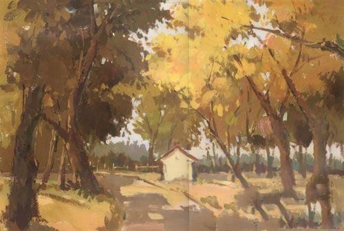 色彩风景树林类――阳光下的树林