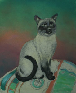 语气分级、过渡的值,猫画,暹罗猫的艺术