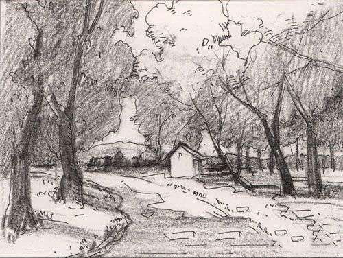 色彩风景树林类――阳光下的树林