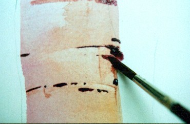 绘画水彩树9照片 绘画水彩树9