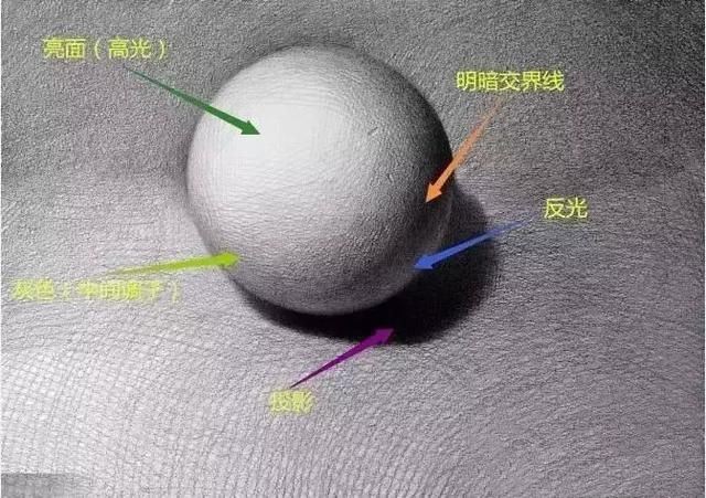 如何学素描――总是搞不懂素描明暗?请点击看完!