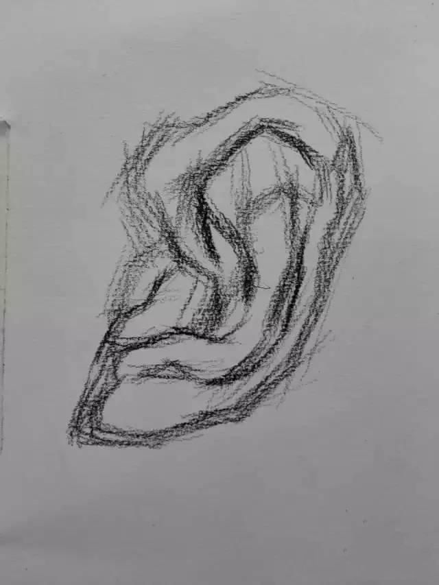 素描教程：耳朵