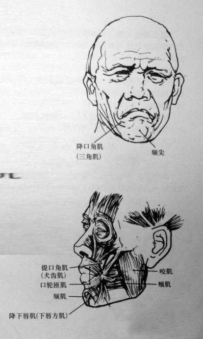 怎样在短时间内学好素描？素描基础教程和素描基础知识的讲解