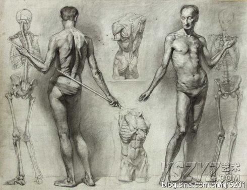 怎样在短时间内学好素描？素描基础教程和素描基础知识的讲解