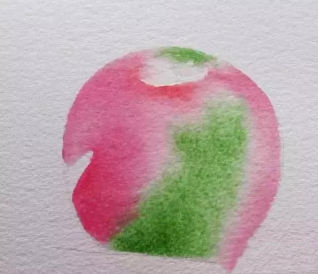 水彩画教程――苹果的画法步骤