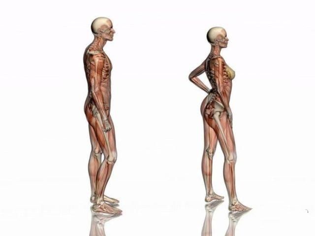 怎样在短时间内学好素描？素描基础教程和素描基础知识的讲解