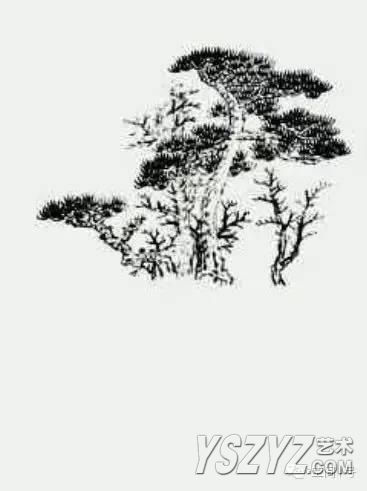 图文示范教程：松树，榆树，柳树的各种画法
