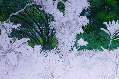 汤姆・布斯第一天