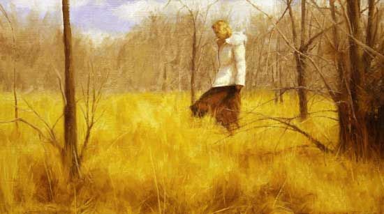 westwind12照片 westwind12