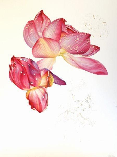 彩铅画教程：格桑花，荷花莲藕彩铅绘画详细过程，快收藏学习去吧