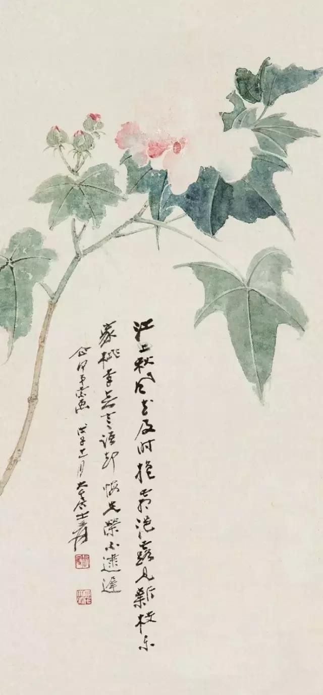 大师笔下芙蓉花，似美人初醉