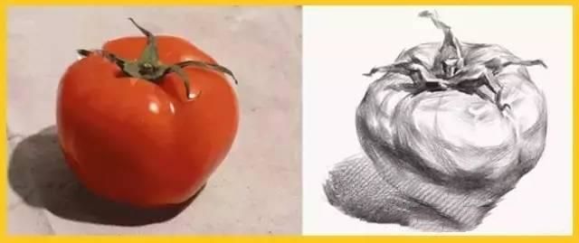 真的画错了――你的素描西红柿太圆啦!