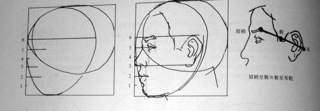 人体素描画法教程