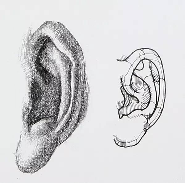 素描人物丨嘴巴、耳朵画法详解