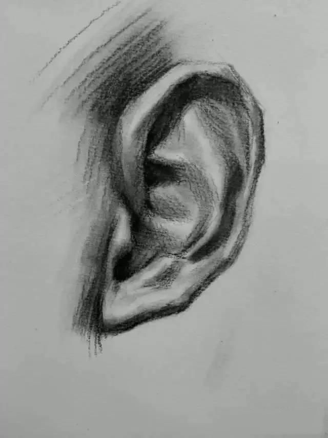 素描教程：耳朵