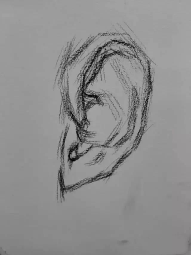 素描教程：耳朵