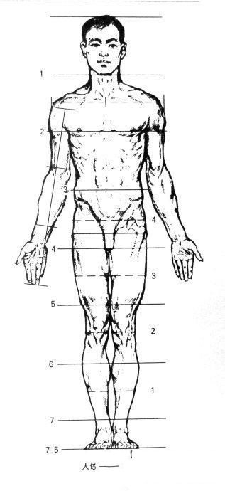 人体素描画法教程