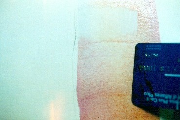 水彩树如何8照片 水彩树如何8