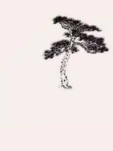 图文示范教程：松树，榆树，柳树的各种画法
