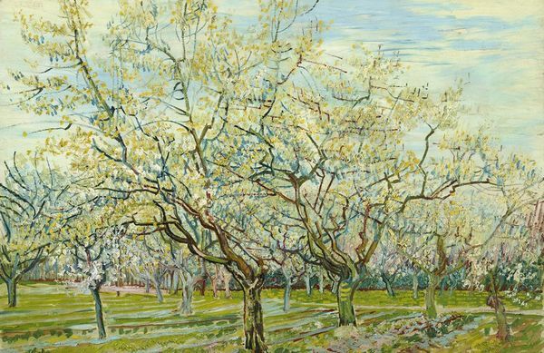 <a href=https://www.kuhw.com/e/tags/?tagid=139 target=_blank class=infotextkey>梵高</a>【白果园】作品-- 荷兰