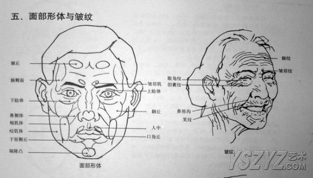怎样在短时间内学好素描？素描基础教程和素描基础知识的讲解
