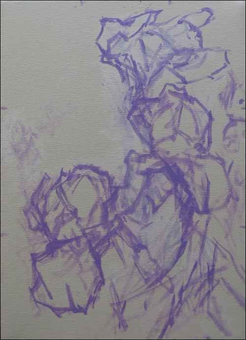 虹膜预备考试500