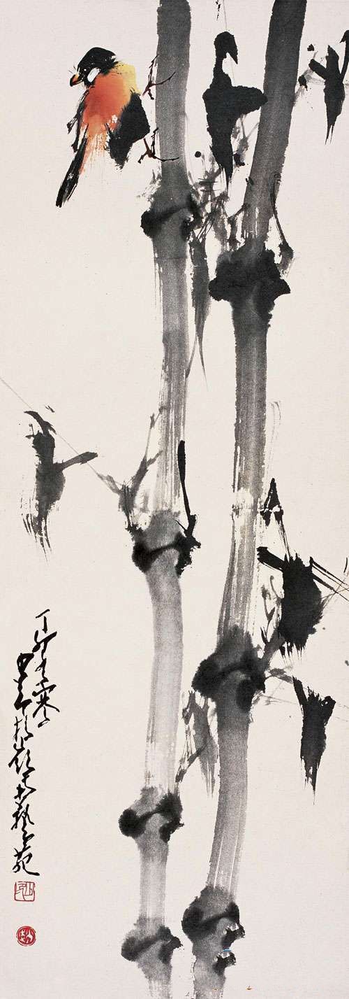 zhaoshaoang_huaniao24s