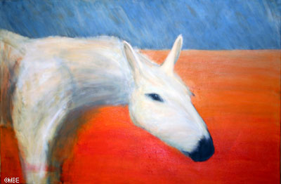 画马一步一步示范